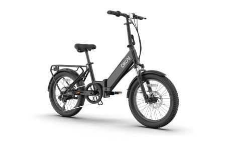 FlexMov EBF10 Folding EBike (Option: EBF10 Black)